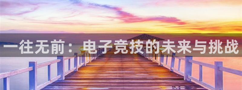 leyu电竞电竞加盟：一往无前：电子竞技