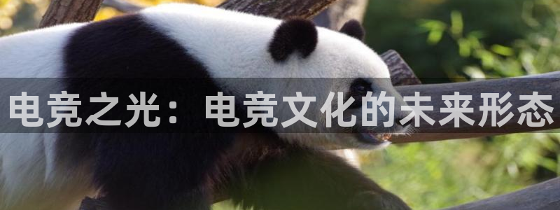 leyu电竞电竞怎么下载：电竞之光：电竞