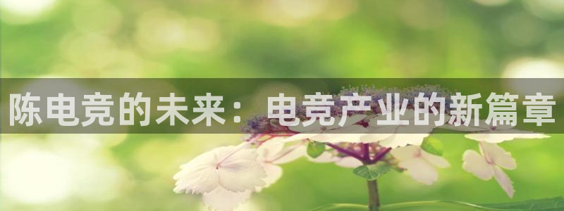 leyu电竞电竞app官方下载：陈电竞的