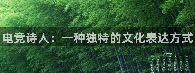 leyu电竞电竞可以yb33丶me：电竞诗人：一种独特的文化表达方式