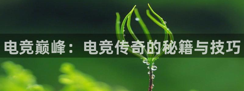 leyu电竞电竞不结算的来源和历史背景介绍：电竞巅峰：电竞传奇的秘籍与技巧