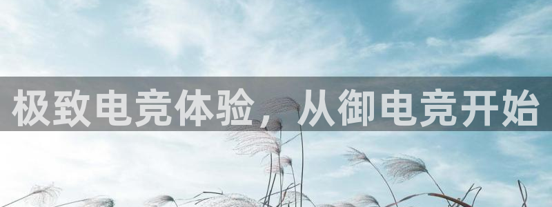 leyu电竞电竞平台登录入口：极致电竞体