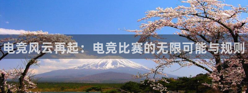 leyu电竞电竞联系方式：电竞风云再起：