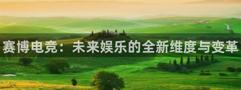 leyu电竞电竞合法吗：赛博电竞：未来娱